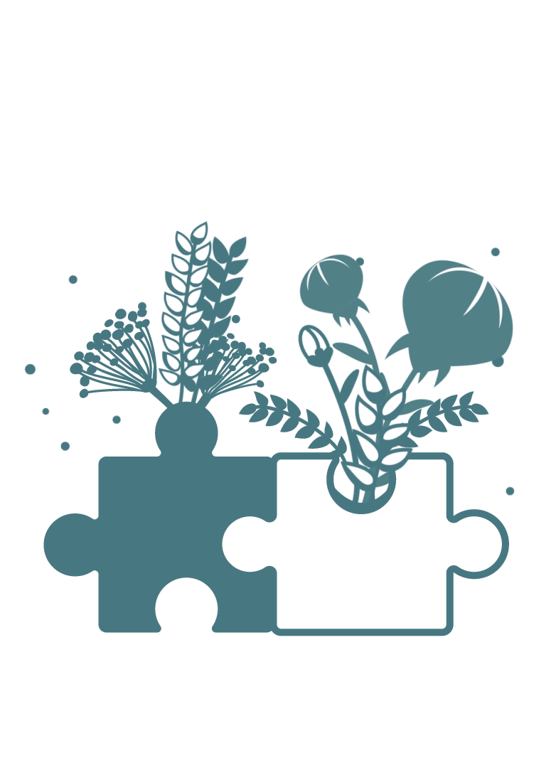 Animation Notre expertise La Belle Semeuse
