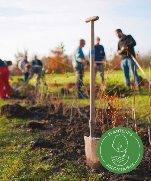Nous plantons des arbres