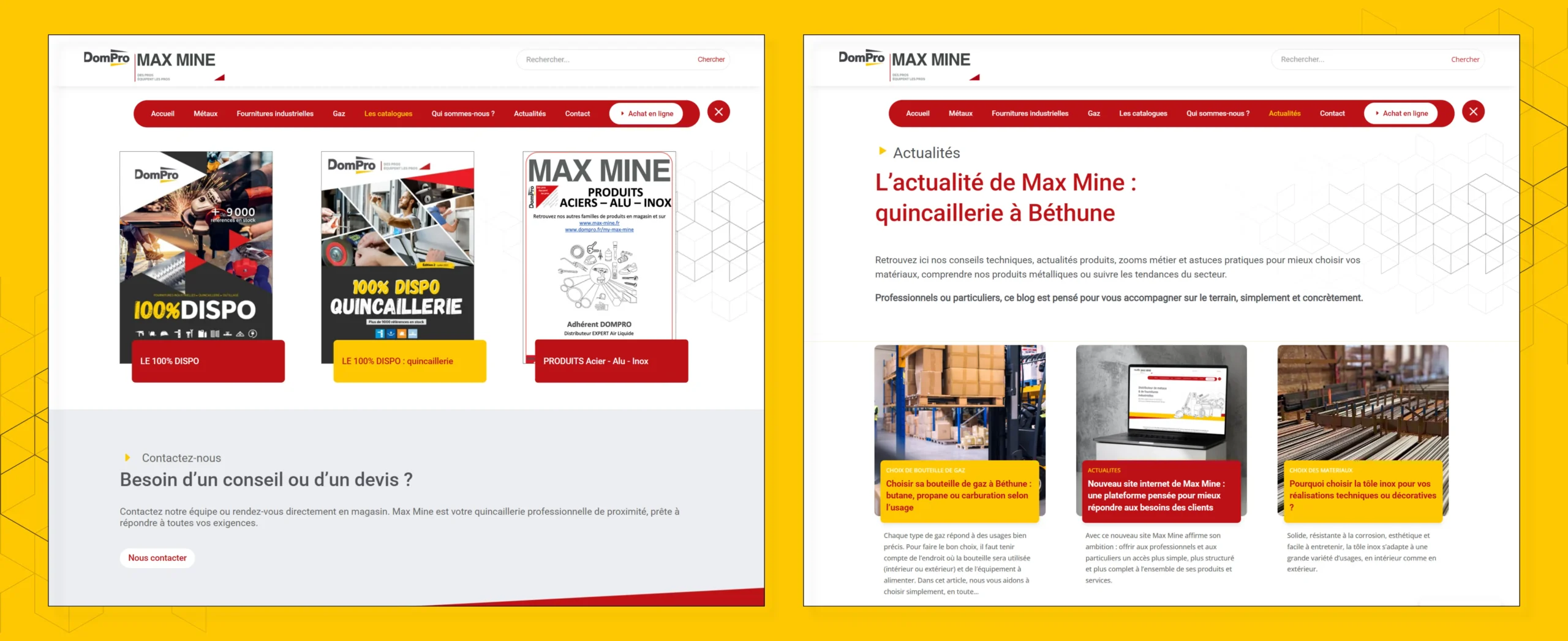 LBS_SiteWeb_Portfolio_MaxMine5